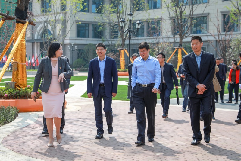 合肥市政府副秘書長謝軍一行領導蒞臨新華公學視察指導工作